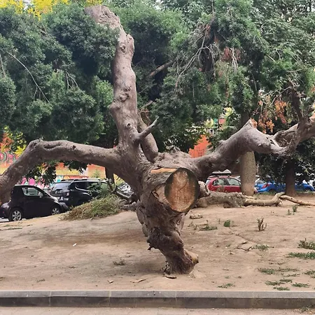 Rosa Al Museo Appartement *